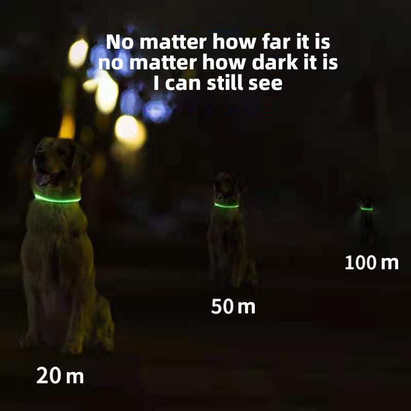 USB Rechargeable LED Dog Collar