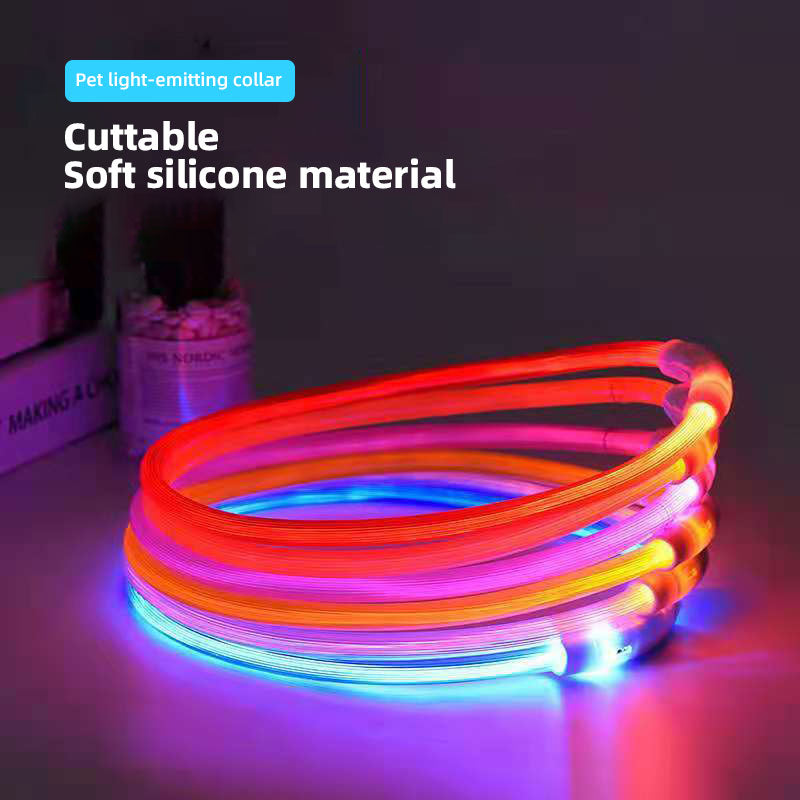 USB Rechargeable LED Dog Collar