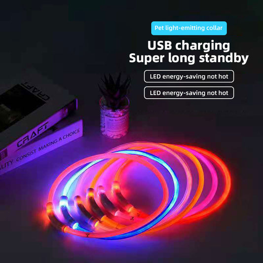 USB Rechargeable LED Dog Collar